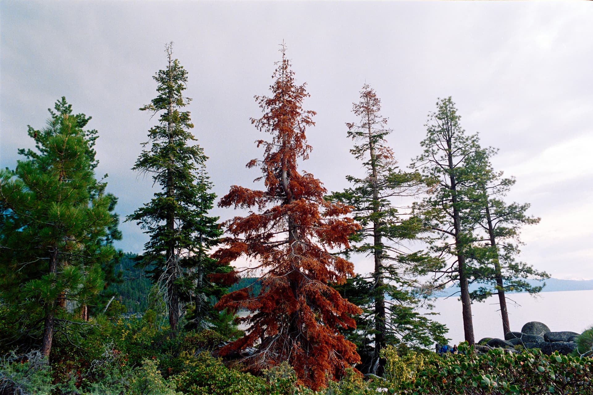 Gallery image 3